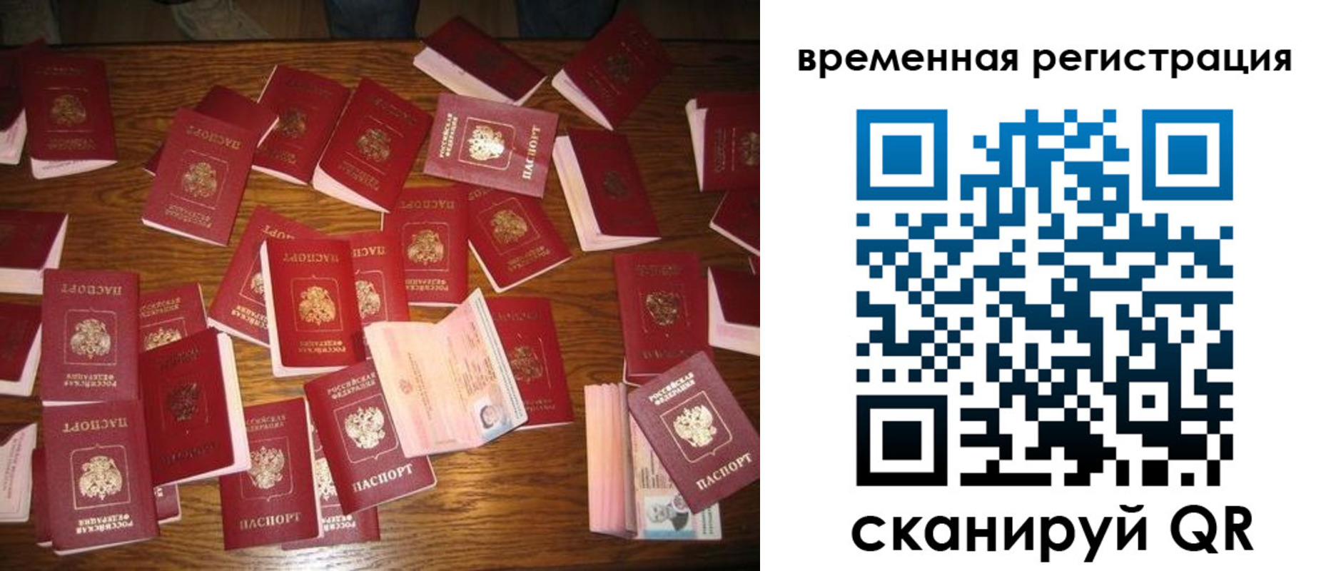 купить прописку в Пионерском