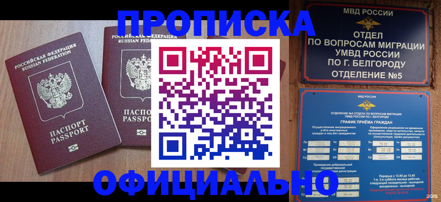 найти адрес прописки в Пионерском