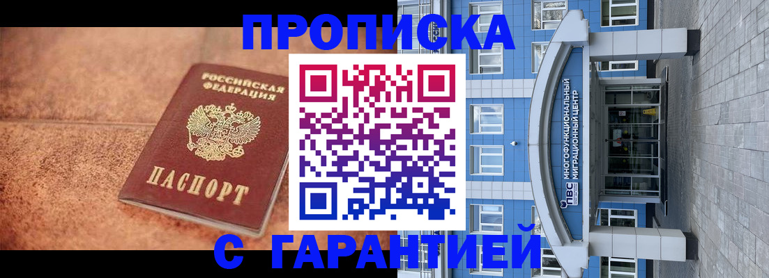 где прописаться в Пионерском